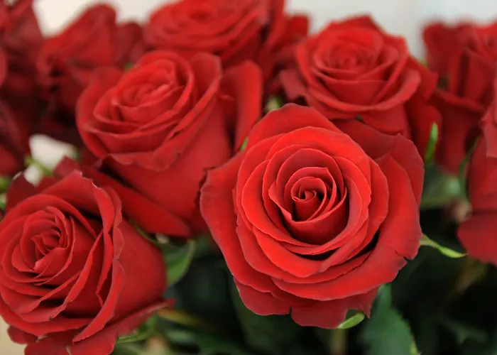 Derby - Self Check-in 3* Интерлакен