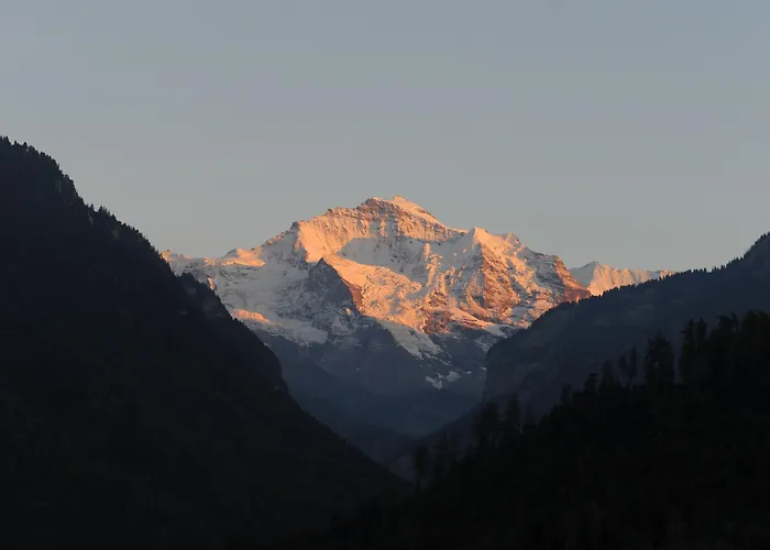 Derby - Self Check-in Интерлакен